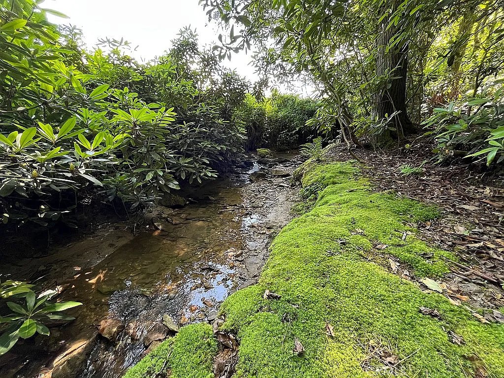 3434 Old Jonas Ridge Road Newland, NC 28657 - Photo 14 of 57