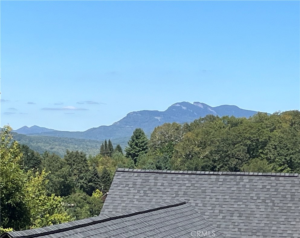 3434 Old Jonas Ridge Road Newland, NC 28657 - Photo 25 of 57