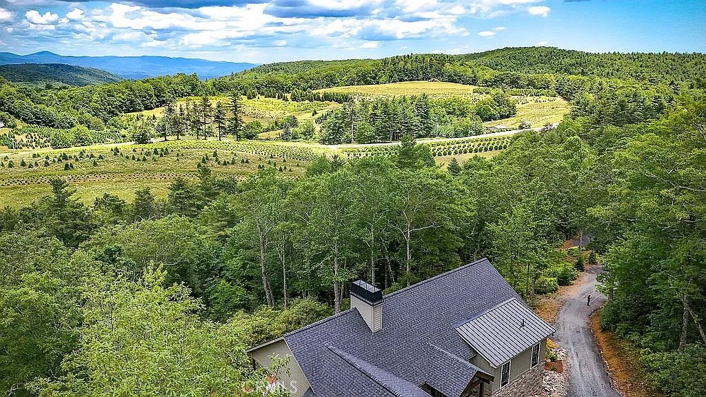 3434 Old Jonas Ridge Road Newland, NC 28657 - Photo 4 of 57