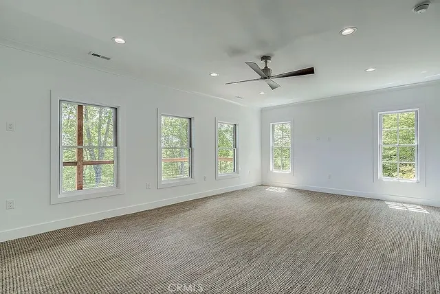 a view of a forest from a window