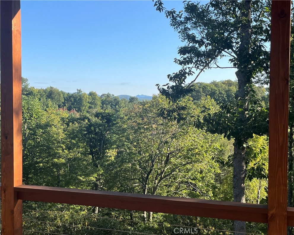 3434 Old Jonas Ridge Road Newland, NC 28657 - Photo 53 of 57