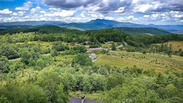 a view of a city with lush green forest