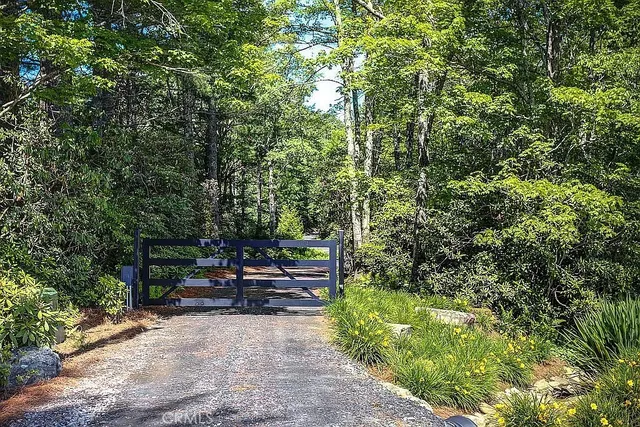 a view of a yard with plants and trees