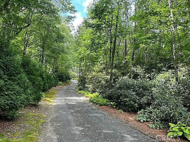 3434 Old Jonas Ridge Road Newland, NC 28657 - Photo 9 of 57