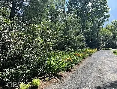 a view of a wooden deck with two trees
