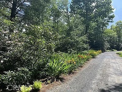 3434 Old Jonas Ridge Road Newland, NC 28657 - Photo 10 of 57