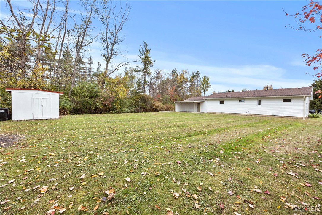935 Cain Road Brant, NY 14006 - Photo 4 of 26 Shed in backyard