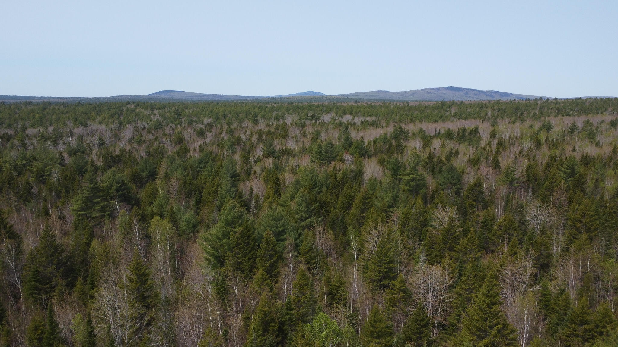 Lot 5 Trickle Brook Road Cherryfield, ME 04622 - Photo 4 of 12 DJI_0059