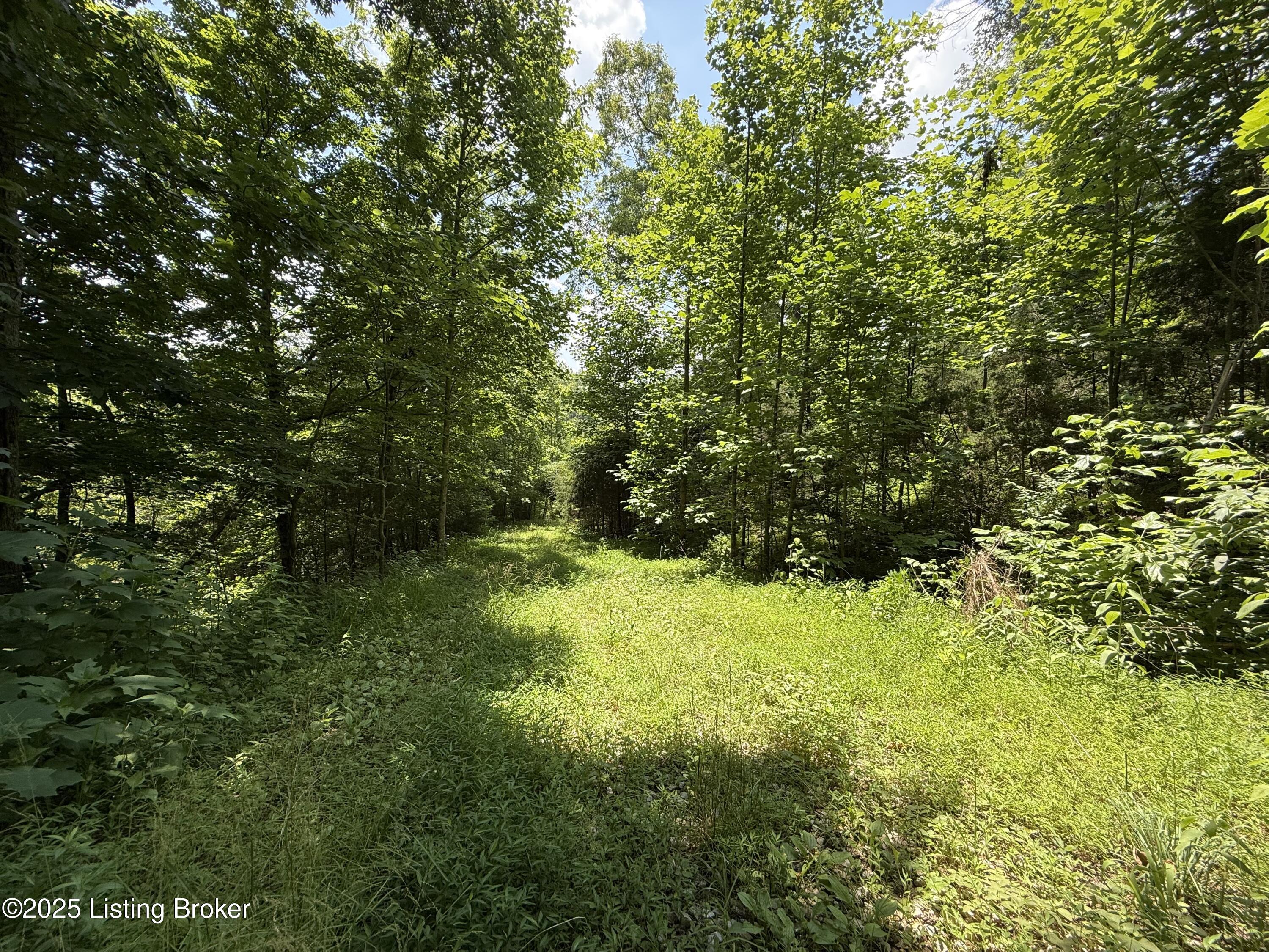 0 East Marks Ridge Road Harned, KY 40144 - Photo 24 of 32 IMG_1230