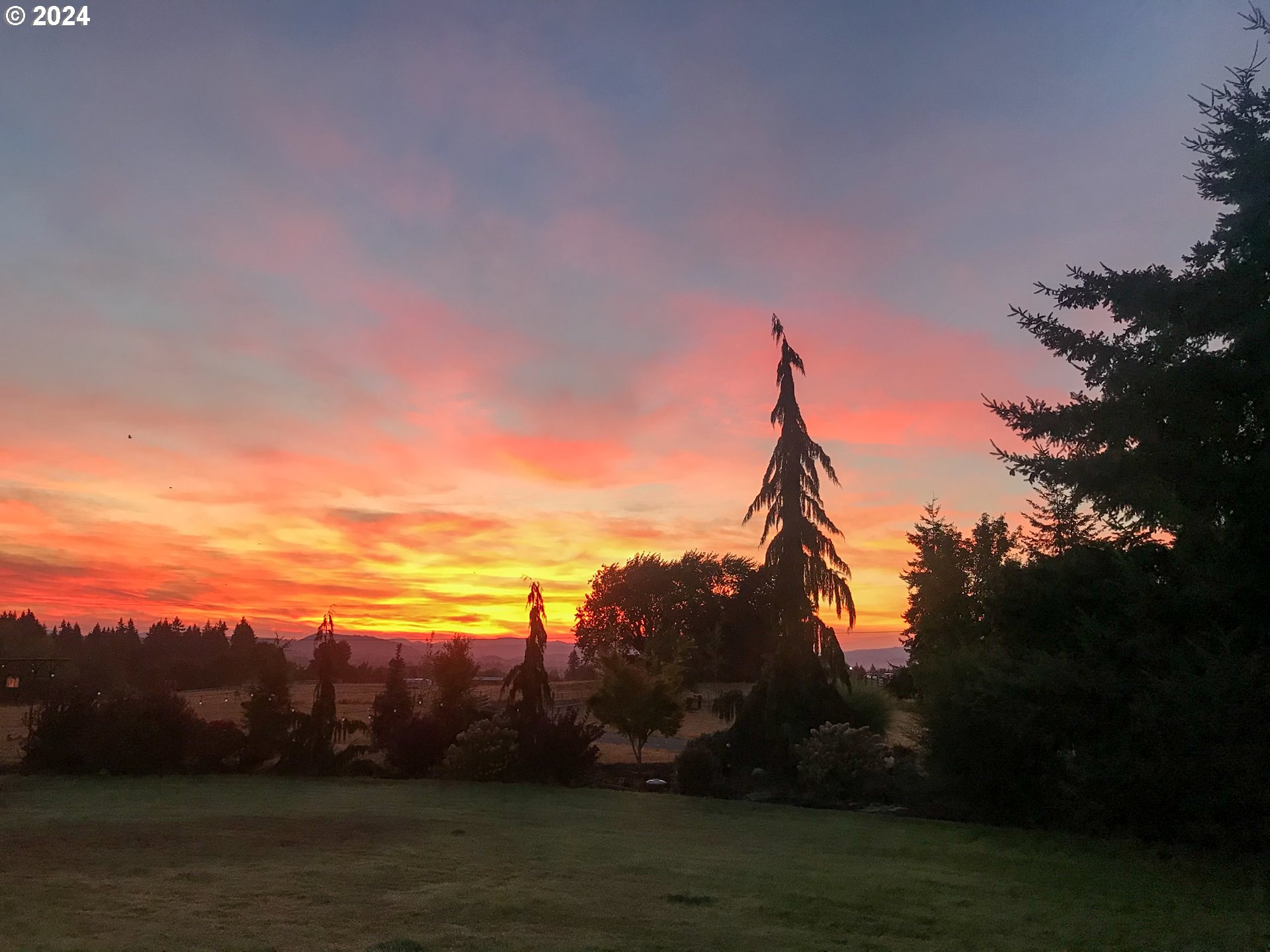 26400 Northeast 29th Avenue Ridgefield, WA 98642 - Photo 47 of 48 a view of sunset