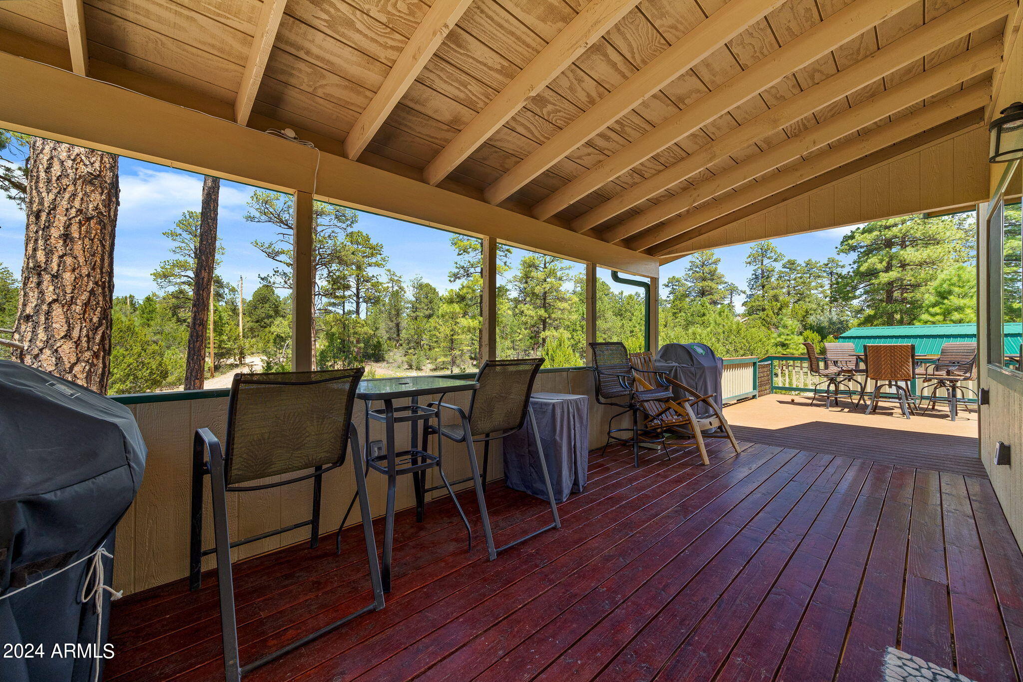 2923 Red Cinder Road Overgaard, AZ 85933 - Photo 19 of 34 2923RedCinderRd-Heber-AZ-18