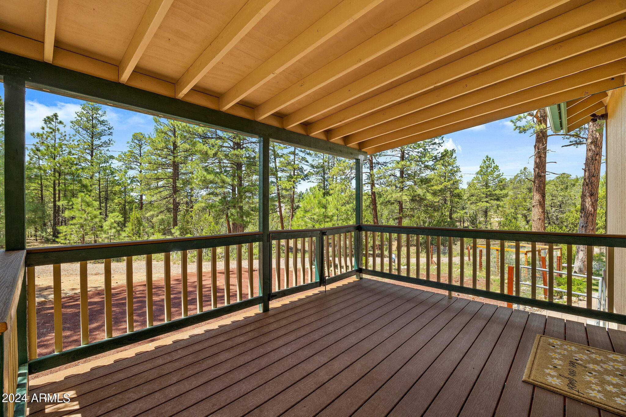 2923 Red Cinder Road Overgaard, AZ 85933 - Photo 3 of 34 2923RedCinderRd-Heber-AZ-2
