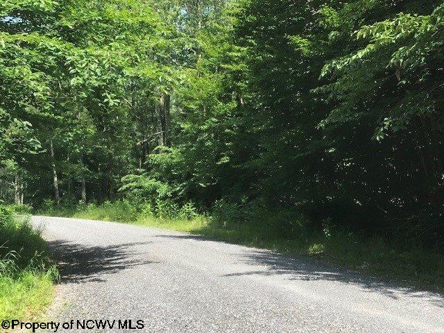 Lot 21 Deer Ridge Davis, WV 26260 - Photo 6 of 16 Gallery Image 6