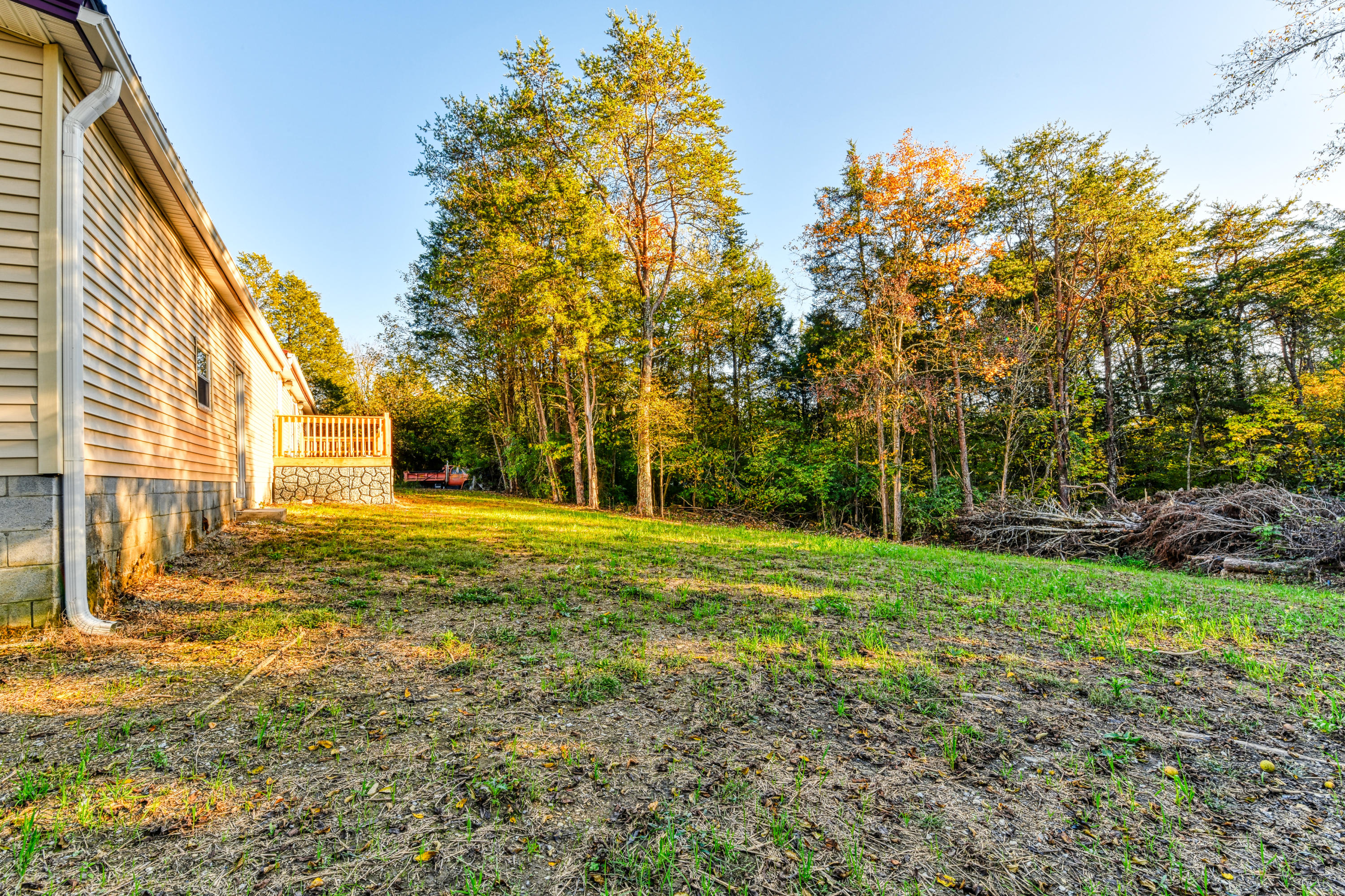 9902 Clift Road Strawberry Plains, TN 37871 - Photo 16 of 32 DSC_6498