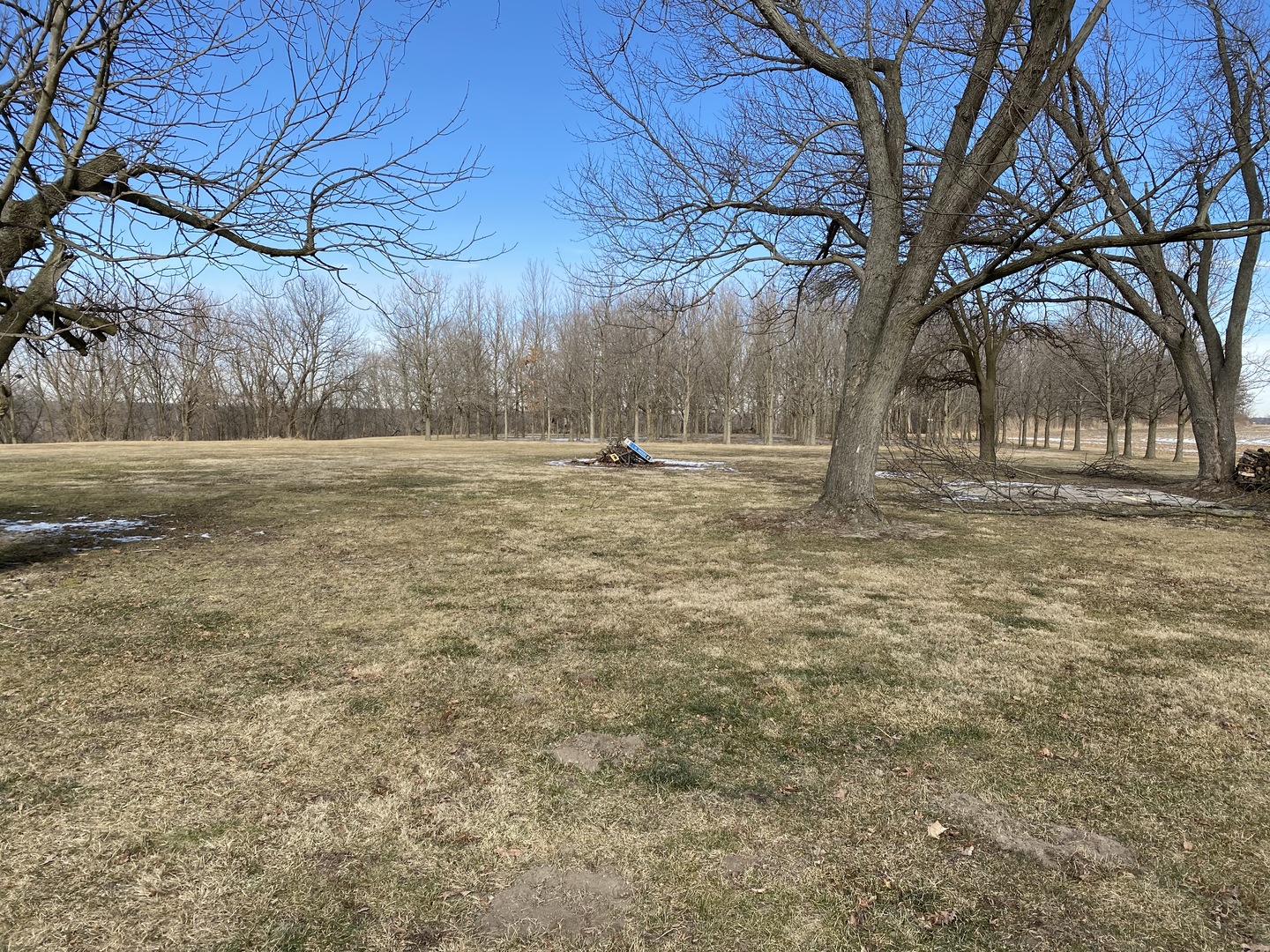 28318 Hinman Road Tremont, IL 61568 - Photo 5 of 9