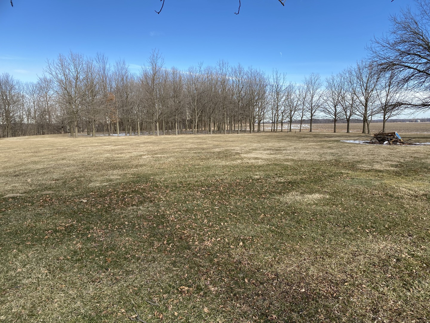 28318 Hinman Road Tremont, IL 61568 - Photo 7 of 9