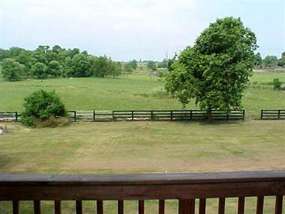 3653 Houston Antioch Road Paris, KY 40361 - Photo 12 of 12 Looking from back deck on house. Give Ch