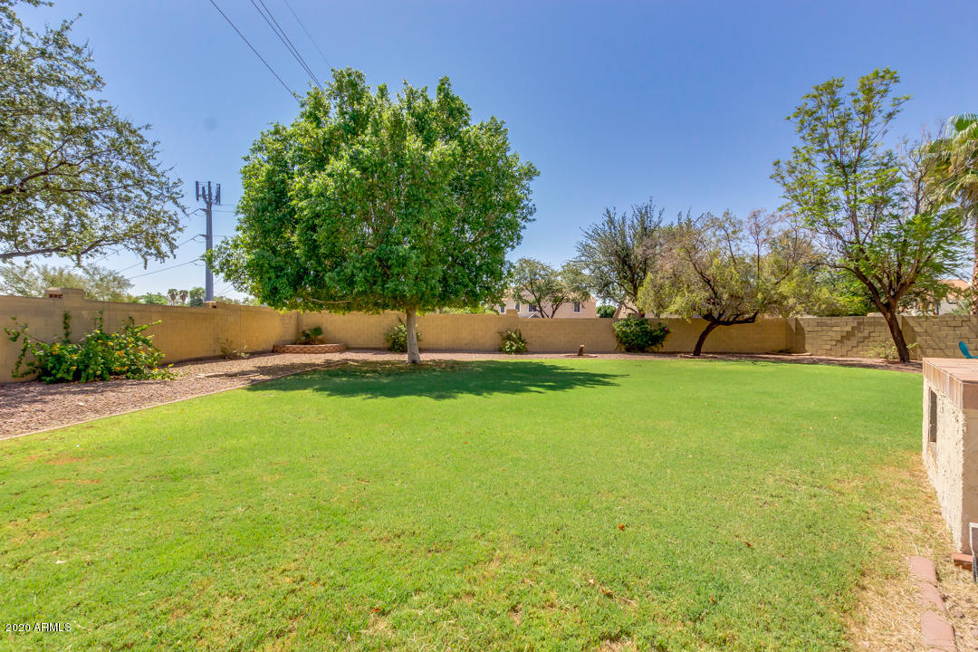 807 West Shellfish Drive Gilbert, AZ 85233 - Photo 41 of 48 Mature Trees