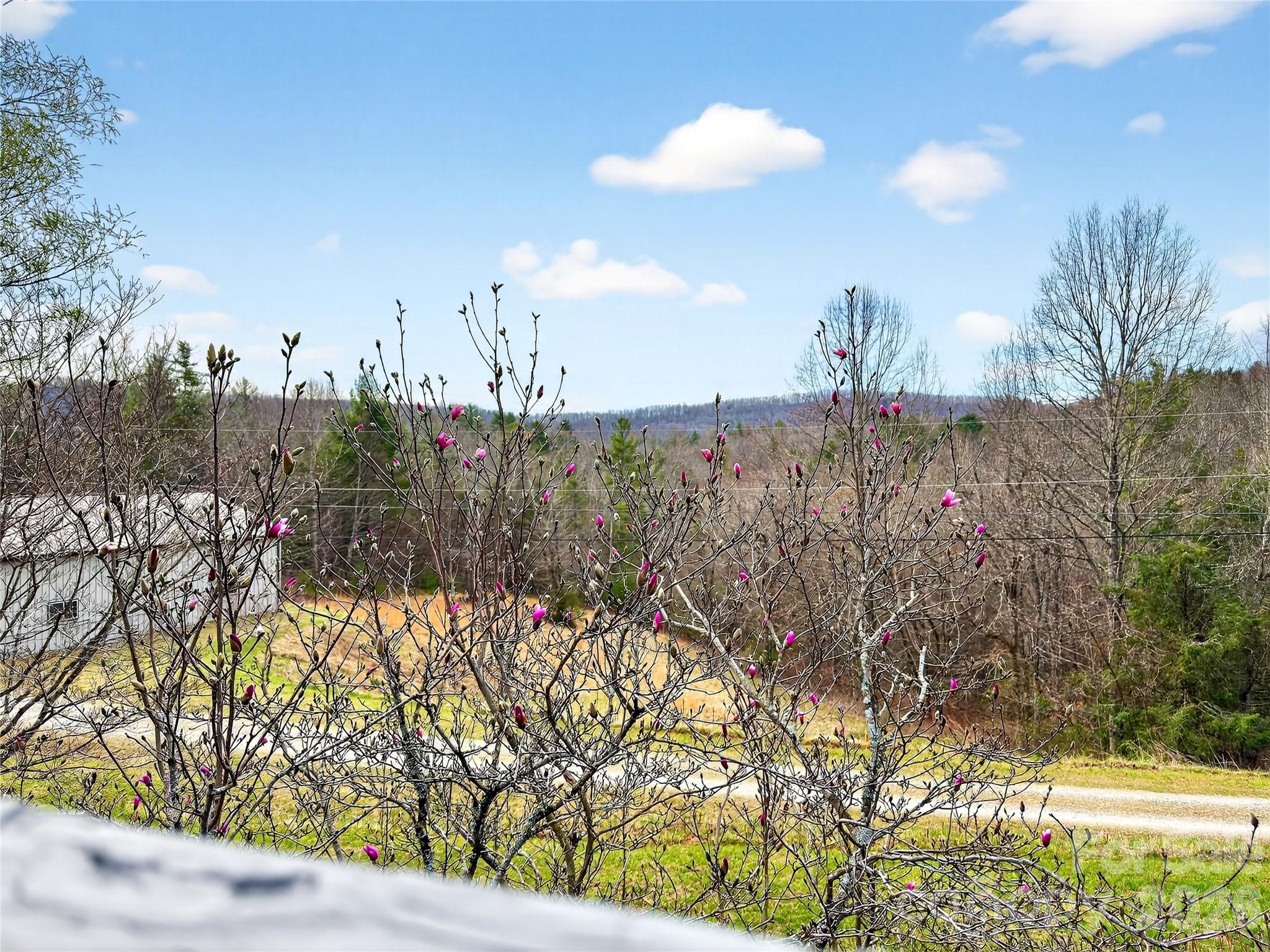 3275 Hanging Rock Road Spruce Pine, NC 28777 - Photo 42 of 48
