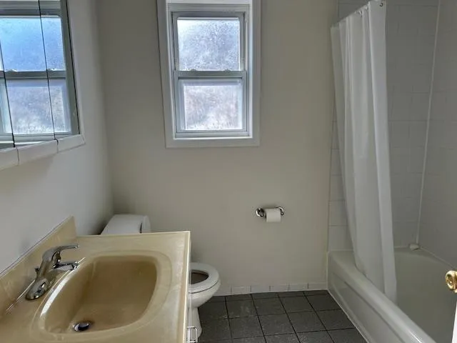 a bathroom with a sink and toilet