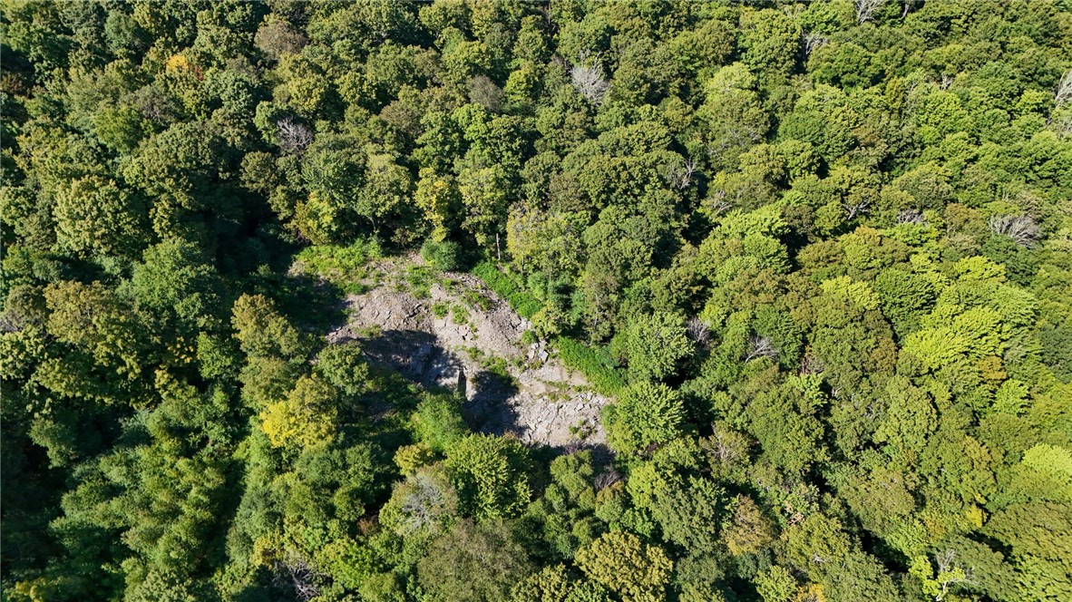 0 Bullock Hill Road Sidney Center, NY 13839 - Photo 11 of 14