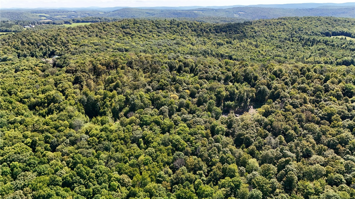 0 Bullock Hill Road Sidney Center, NY 13839 - Photo 12 of 14