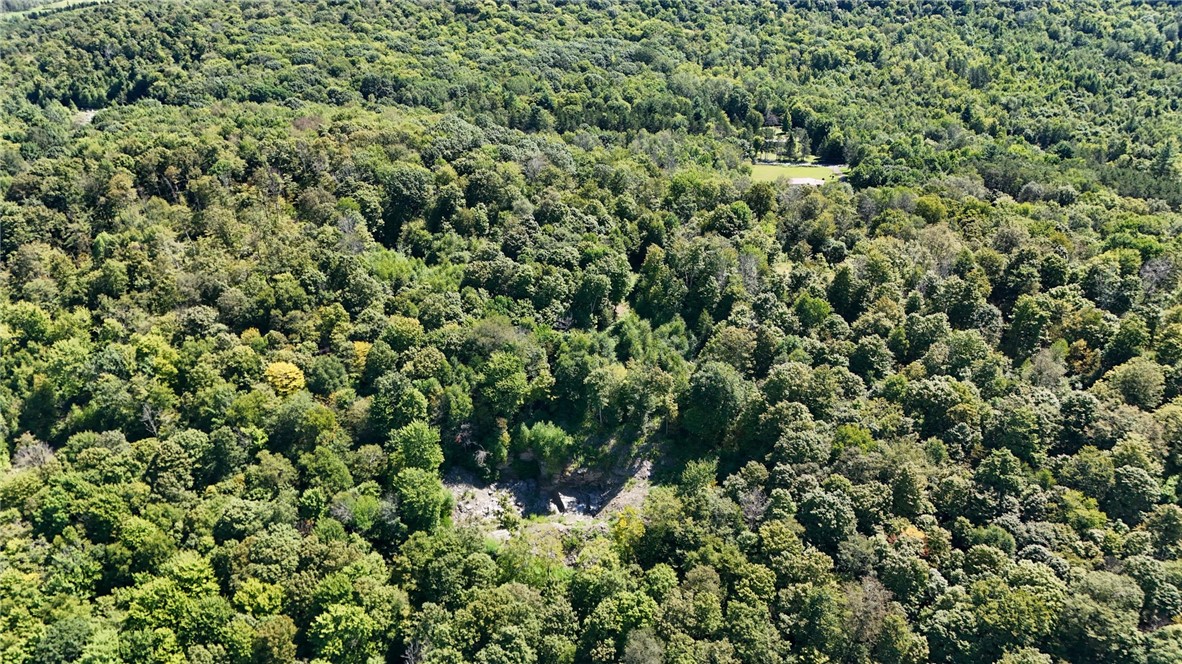 0 Bullock Hill Road Sidney Center, NY 13839 - Photo 13 of 14