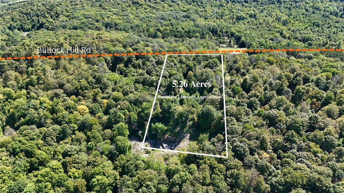 0 Bullock Hill Road Sidney Center, NY 13839 - Photo 2 of 14