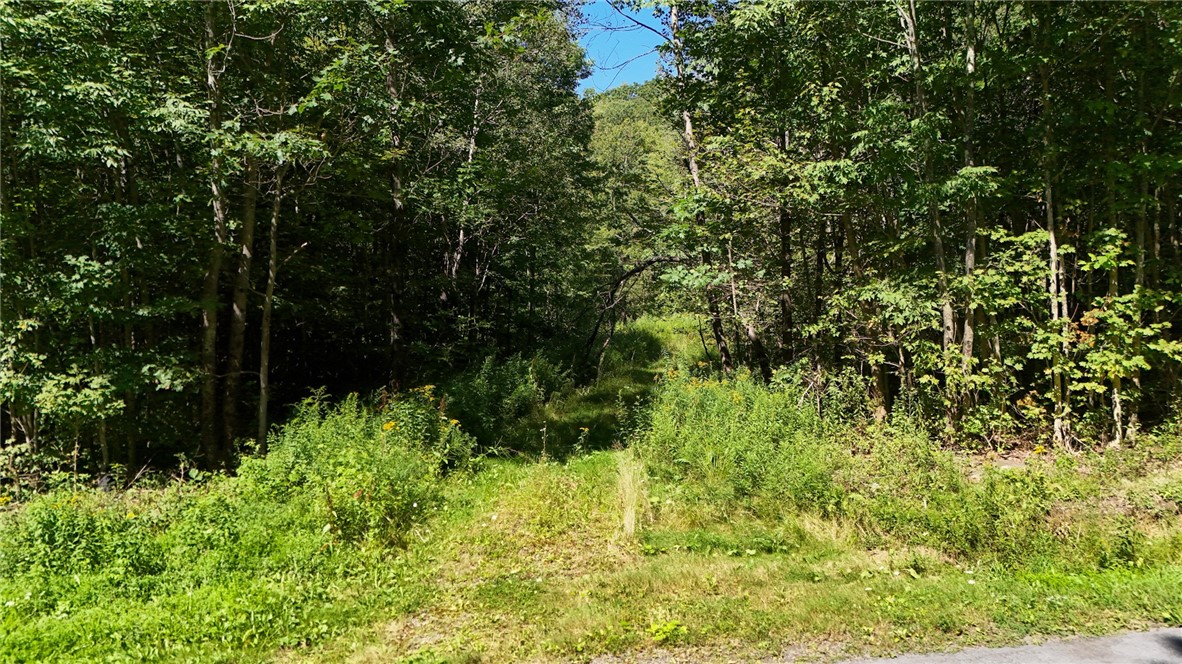 0 Bullock Hill Road Sidney Center, NY 13839 - Photo 3 of 14