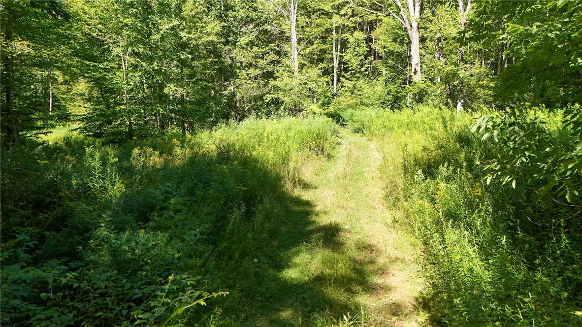 0 Bullock Hill Road Sidney Center, NY 13839 - Photo 4 of 14