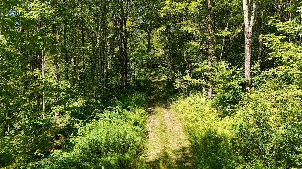 0 Bullock Hill Road Sidney Center, NY 13839 - Photo 5 of 14