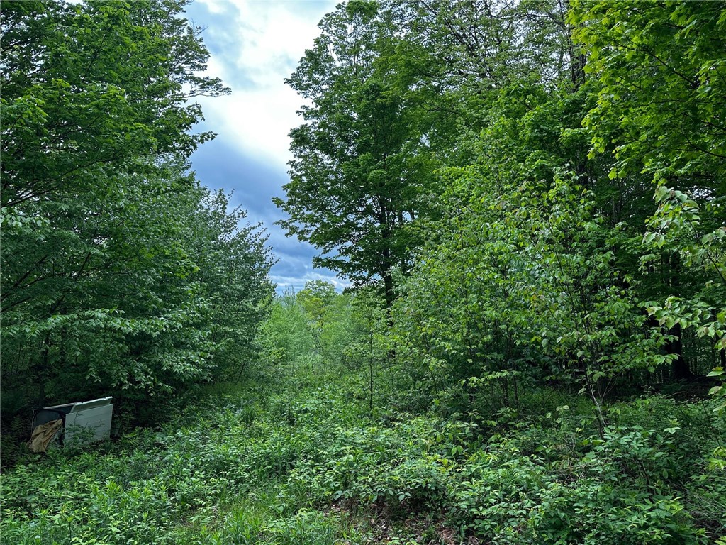 0 Bullock Hill Road Sidney Center, NY 13839 - Photo 6 of 14