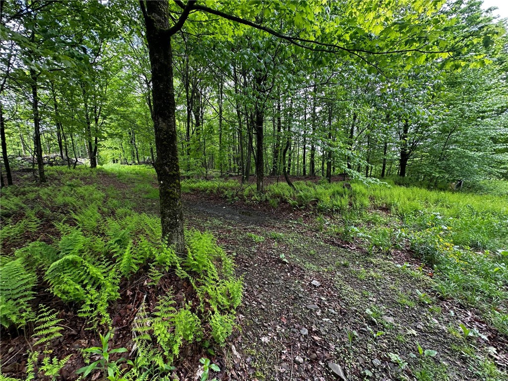 0 Bullock Hill Road Sidney Center, NY 13839 - Photo 7 of 14