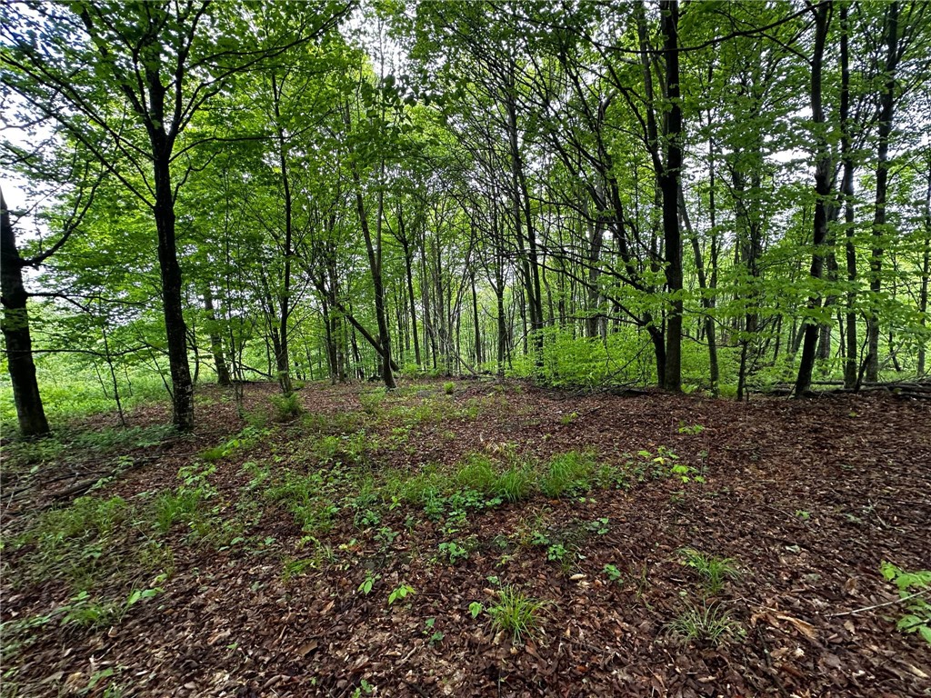 0 Bullock Hill Road Sidney Center, NY 13839 - Photo 8 of 14