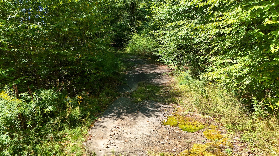 0 Bullock Hill Road Sidney Center, NY 13839 - Photo 9 of 14