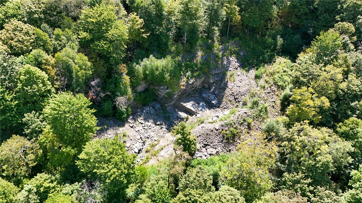 0 Bullock Hill Road Sidney Center, NY 13839 - Photo 10 of 14