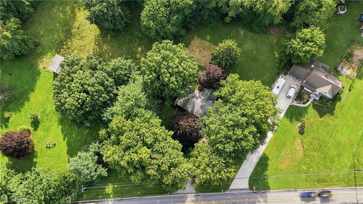 7524 Root Road North Ridgeville, OH 44039 - Photo 45 of 50 Extensive green grounds featuring mature trees, a paved driveway, and a residential structure with a brown shingle roof
