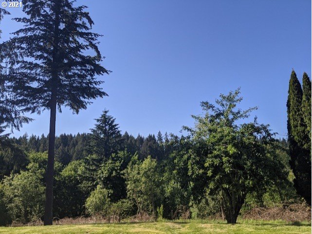 15511 Northwest Old Pumpkin Ridge Road North Plains, OR 97133 - Photo 5 of 29 Gallery Image 5