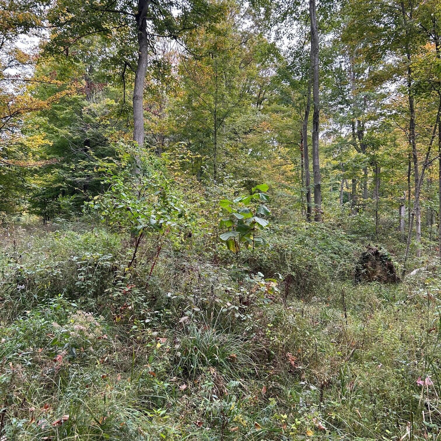 0 Ewart Road Mount Vernon, OH 43050 - Photo 2 of 15 photo1