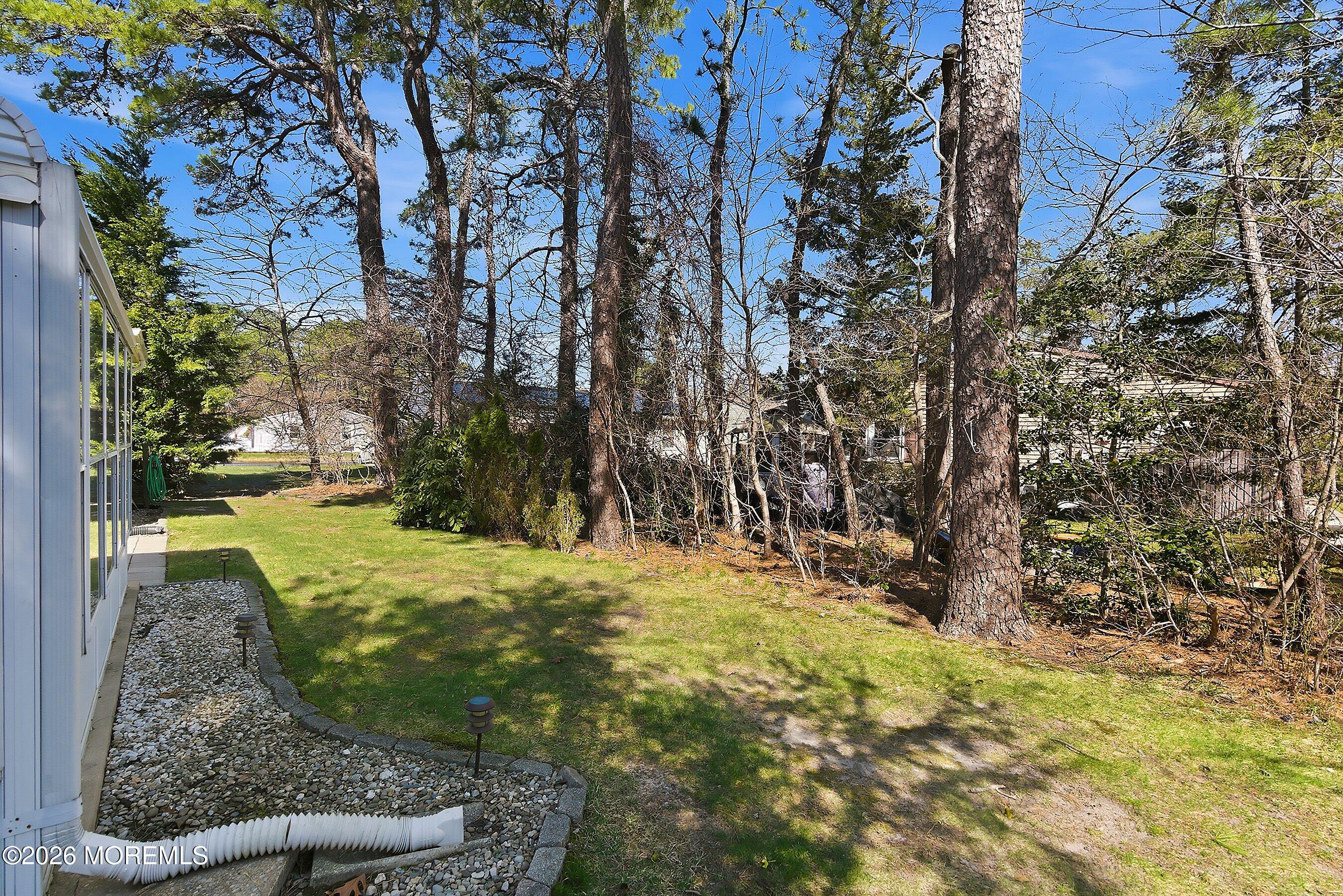 8 Hummingbird Lane Whiting, NJ 08759 - Photo 19 of 41 a view of yard with tree