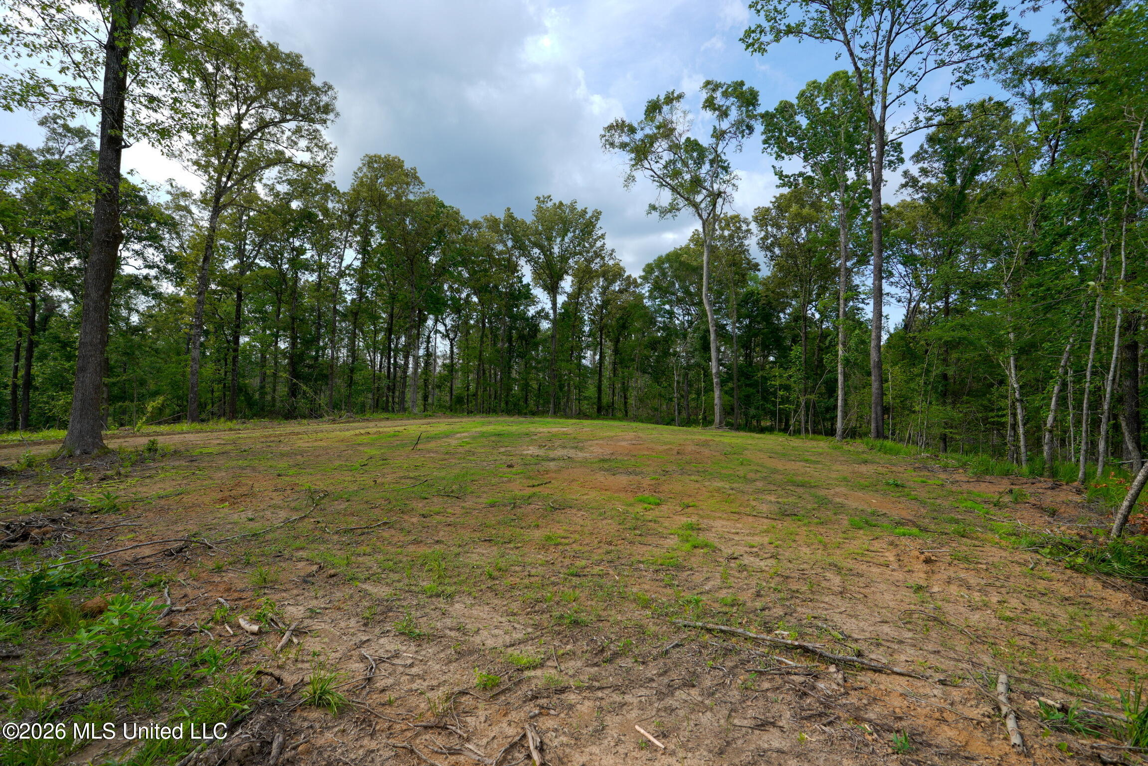 Lorance Road Clinton, MS 39056 - Photo 4 of 25 _DSC5485