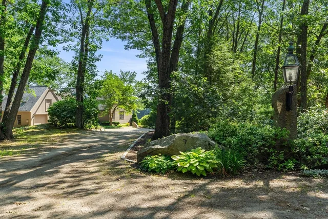a view of a yard with plants and trees