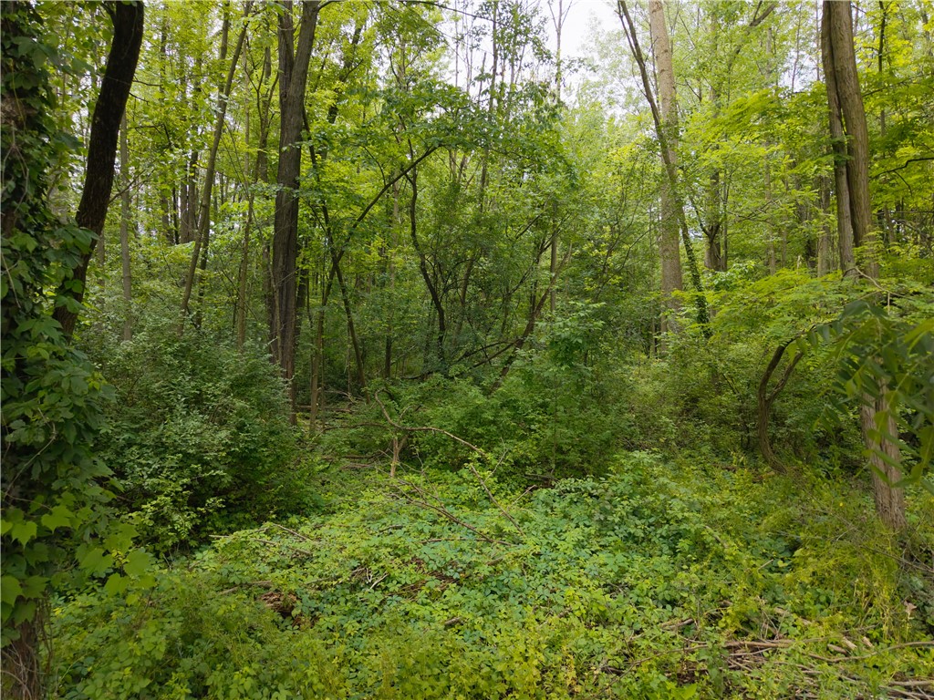 Butler Avenue Seneca Falls, NY 13148 - Photo 1 of 10