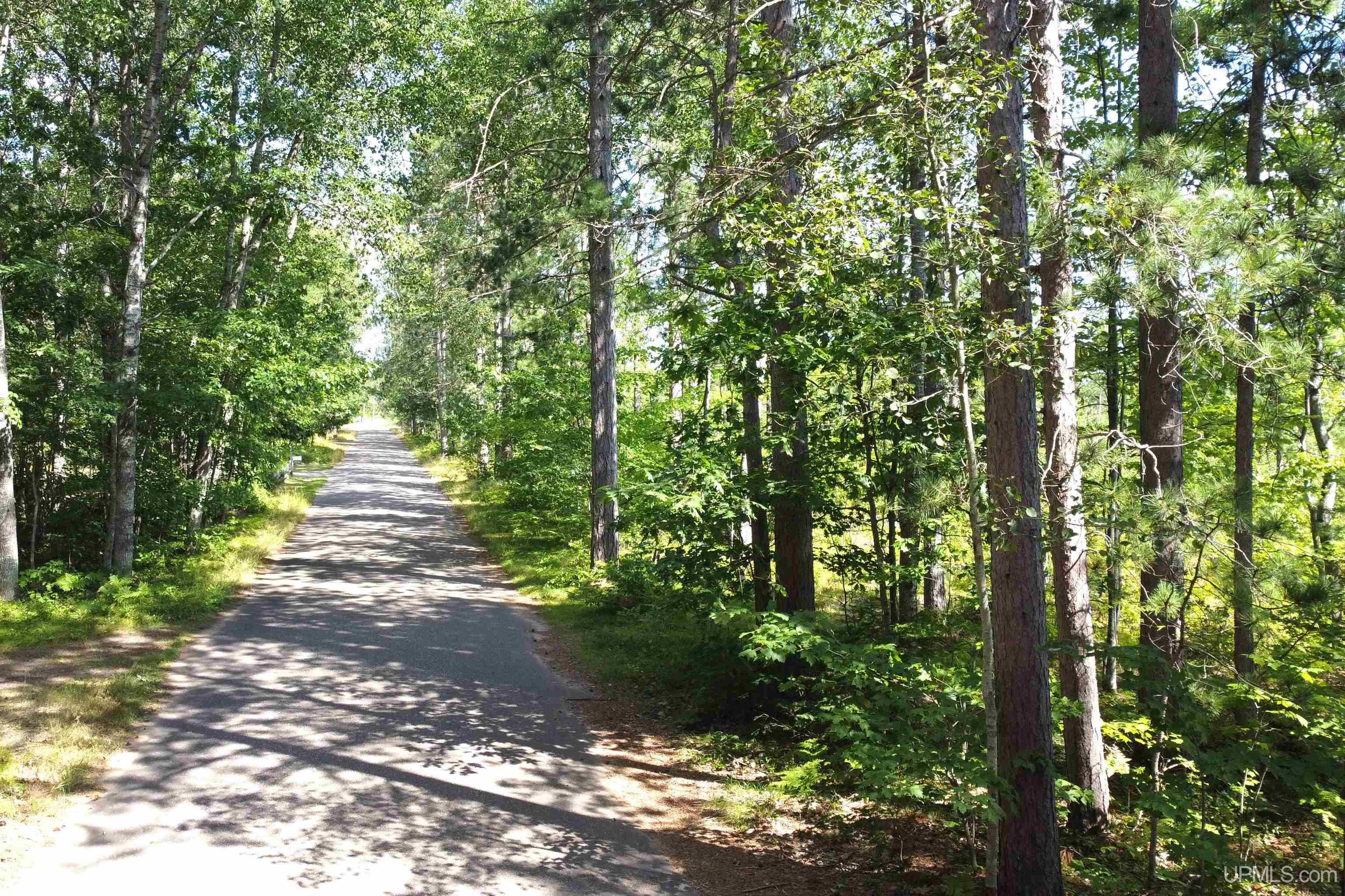 On South Bertrand Lake Road Gwinn, MI 49841 - Photo 15 of 20