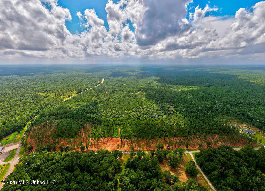 Nhn Lot 2 Nhn Road Saucier, MS 39574 - Photo 60 of 87 HiddenCreekEstatesNoLines-17