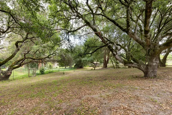 $1,495,000 | 520 Fair Avenue, Petaluma, CA 94952