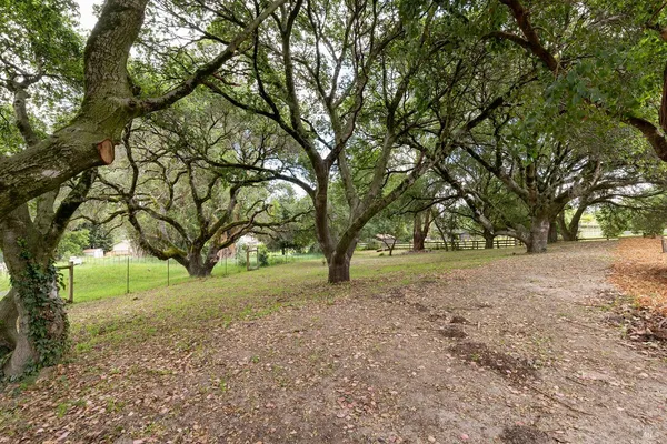 $1,495,000 | 520 Fair Avenue, Petaluma, CA 94952
