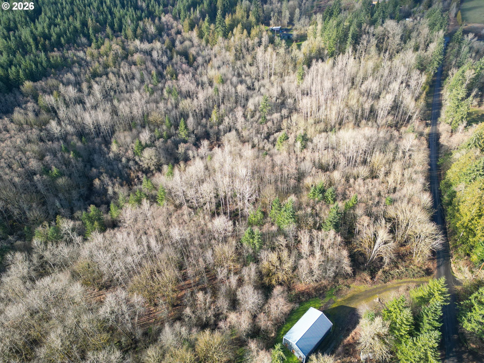 66743 Doetsch Road Deer Island, OR 97054 - Photo 39 of 43 a view of yard