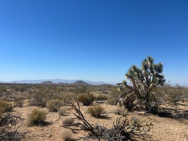244-08-259 Apache Road Yucca, AZ 86438 - Photo 8 of 21 Gallery Image 8