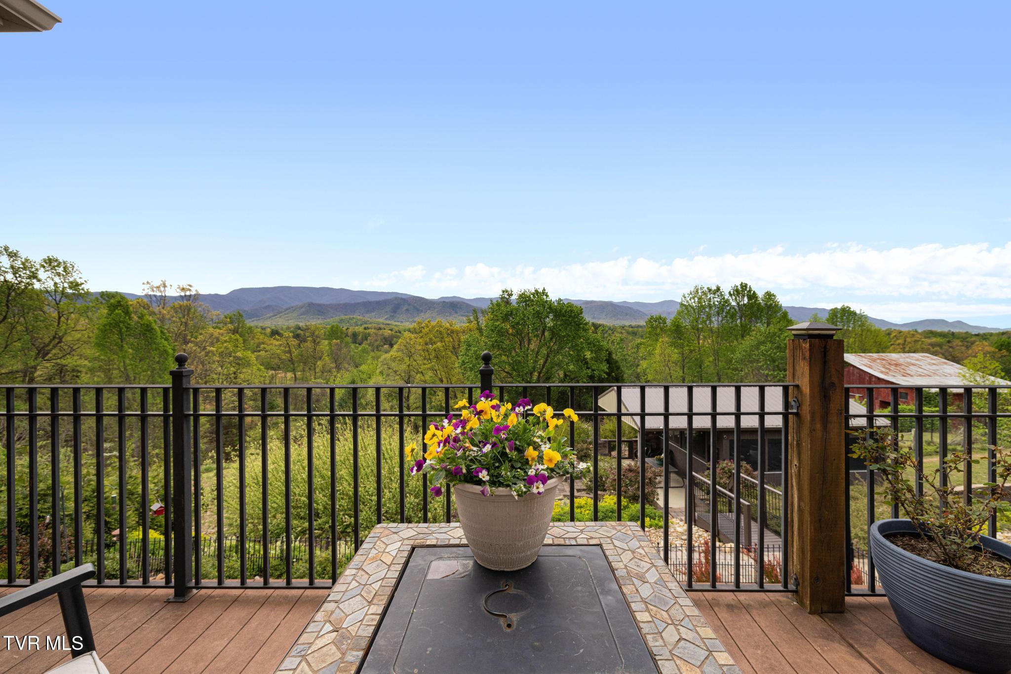 1180 Keller Road Afton, TN 37616 - Photo 20 of 62 Back deck view
